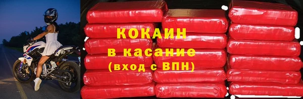 кокс Белокуриха