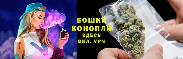 гашик Белоозёрский