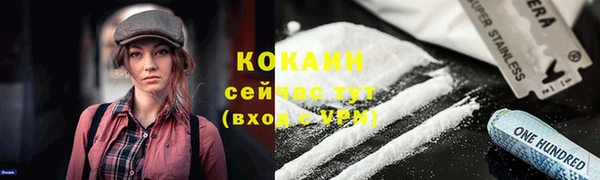 кокс Белокуриха