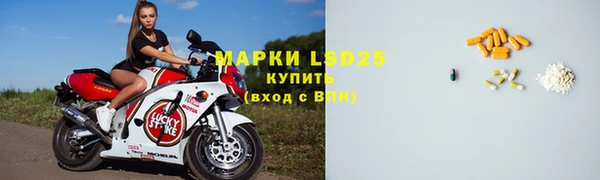 spice Беломорск