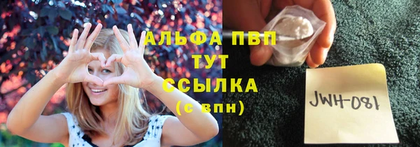 кокс Белокуриха