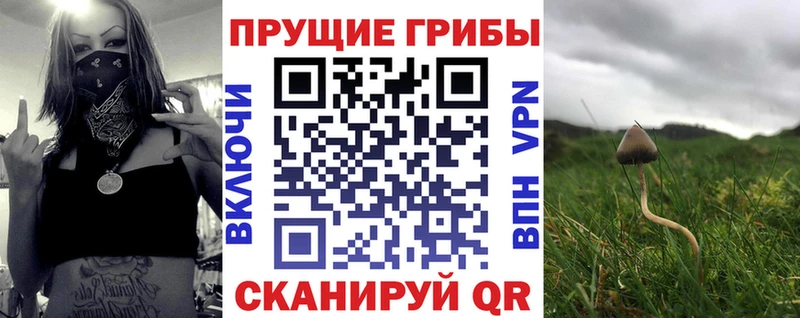 Галлюциногенные грибы GOLDEN TEACHER  гидра сайт  дарк нет официальный сайт  Цимлянск 